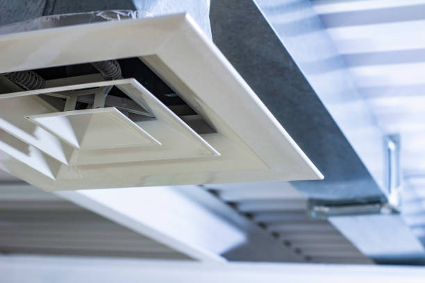 Best Affordable Duct Cleaning Services  in Pistakee Highlands, IL