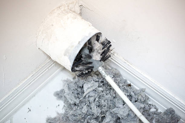 Best Local Air Duct Cleaning Services  in Pistakee Highlands, IL